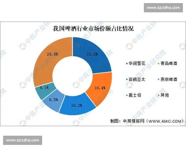 阿伯丁对决赛事精彩回顾与未来发展趋势分析